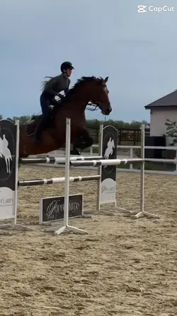 Flying