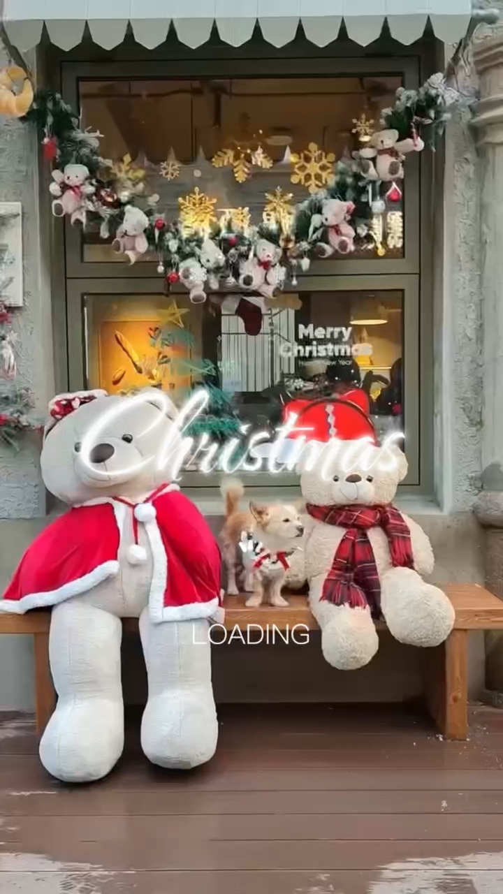 Weihnachten Haustier