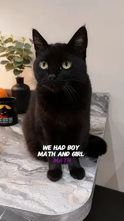 Cat math part 2
