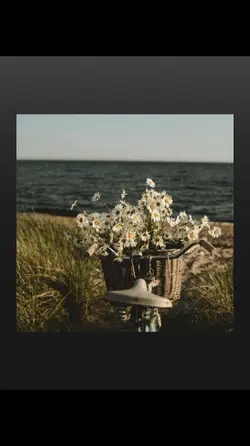 instrumen pagi ku ce