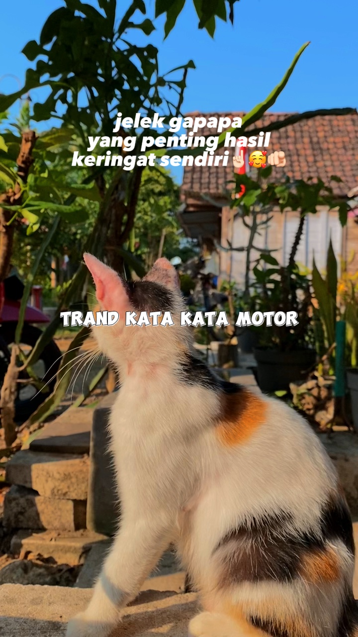 Motor ng buhangin 