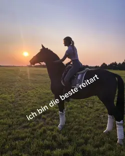 western reiten