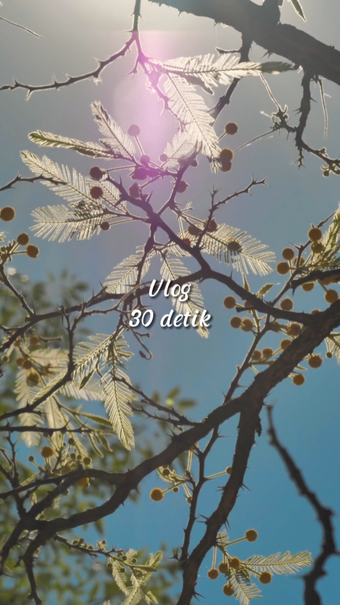 Vlog 30 detalles