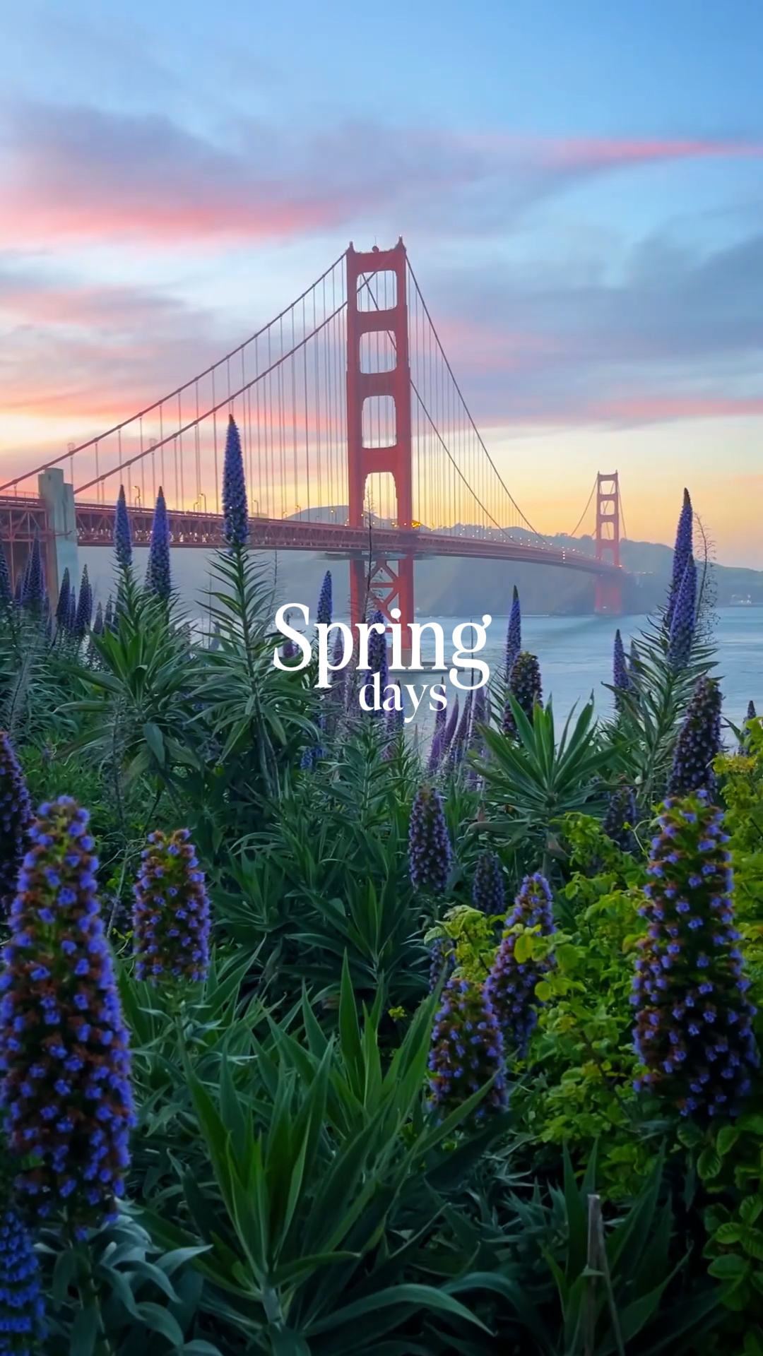 Días de primavera