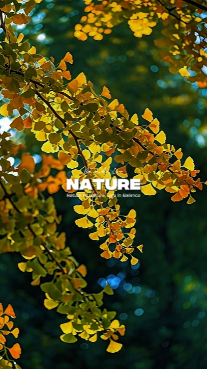 Nature cinematic
