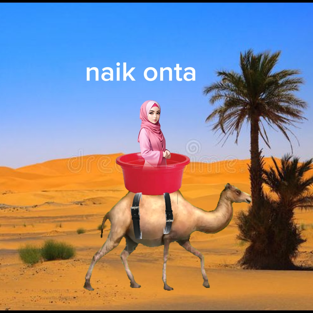 Naik onta 