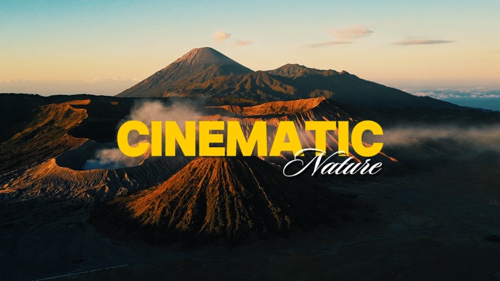 Natureza cinematográfica