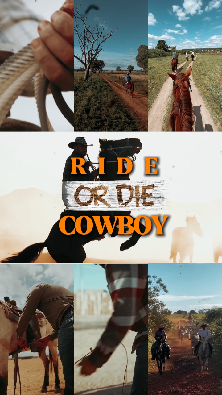 Sür ya da öl kovboy