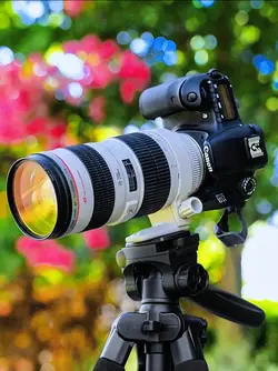HD+JERNIH