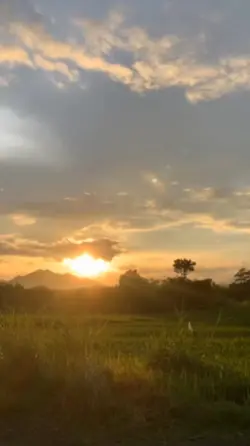 ไลฟ์สโฟโต้