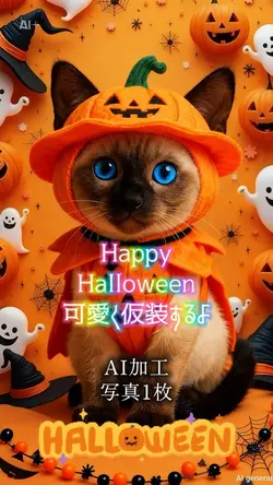 Happy🎃Halloween