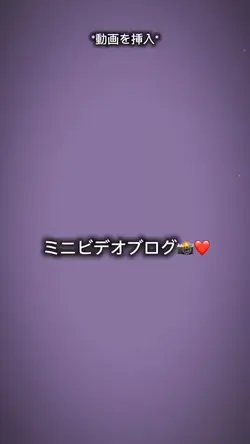 ミニビデオブログ