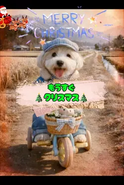 もうすぐクリスマス🎄