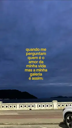 Minha Galeria
