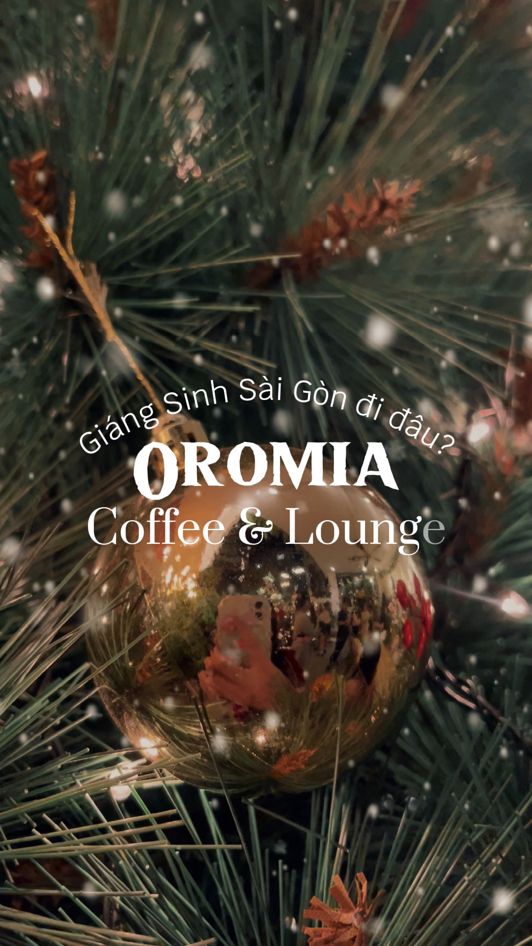 Mẫu cafe Giáng Sinh🎄