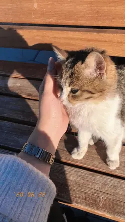 cute