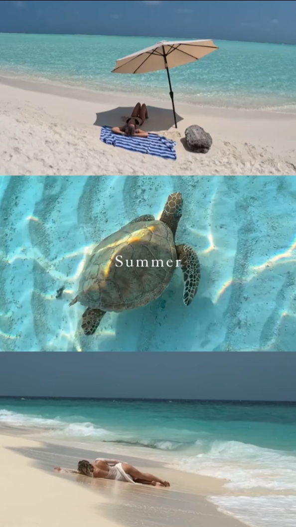 summer 
