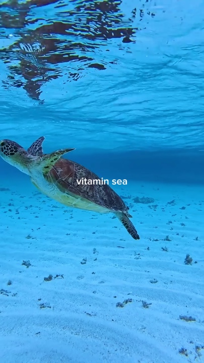 Vitamin sea