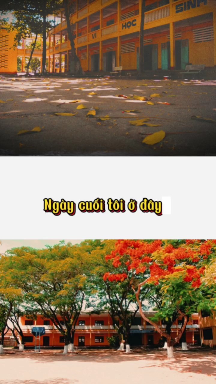Xin tạm biệt..