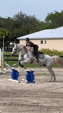 titooo ⚠️FAKE⚠️