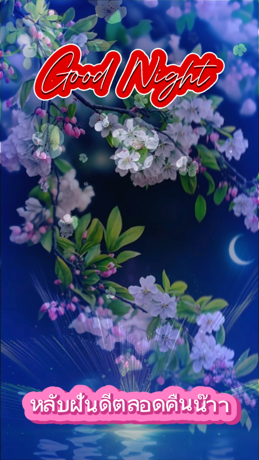 Buenas Noches 
