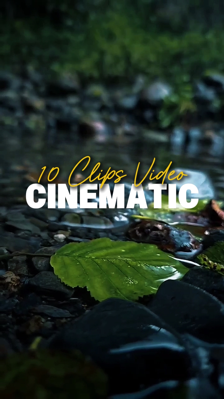 10 Clips Video 