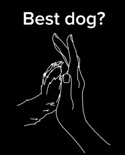 Best dog❤️‍🔥