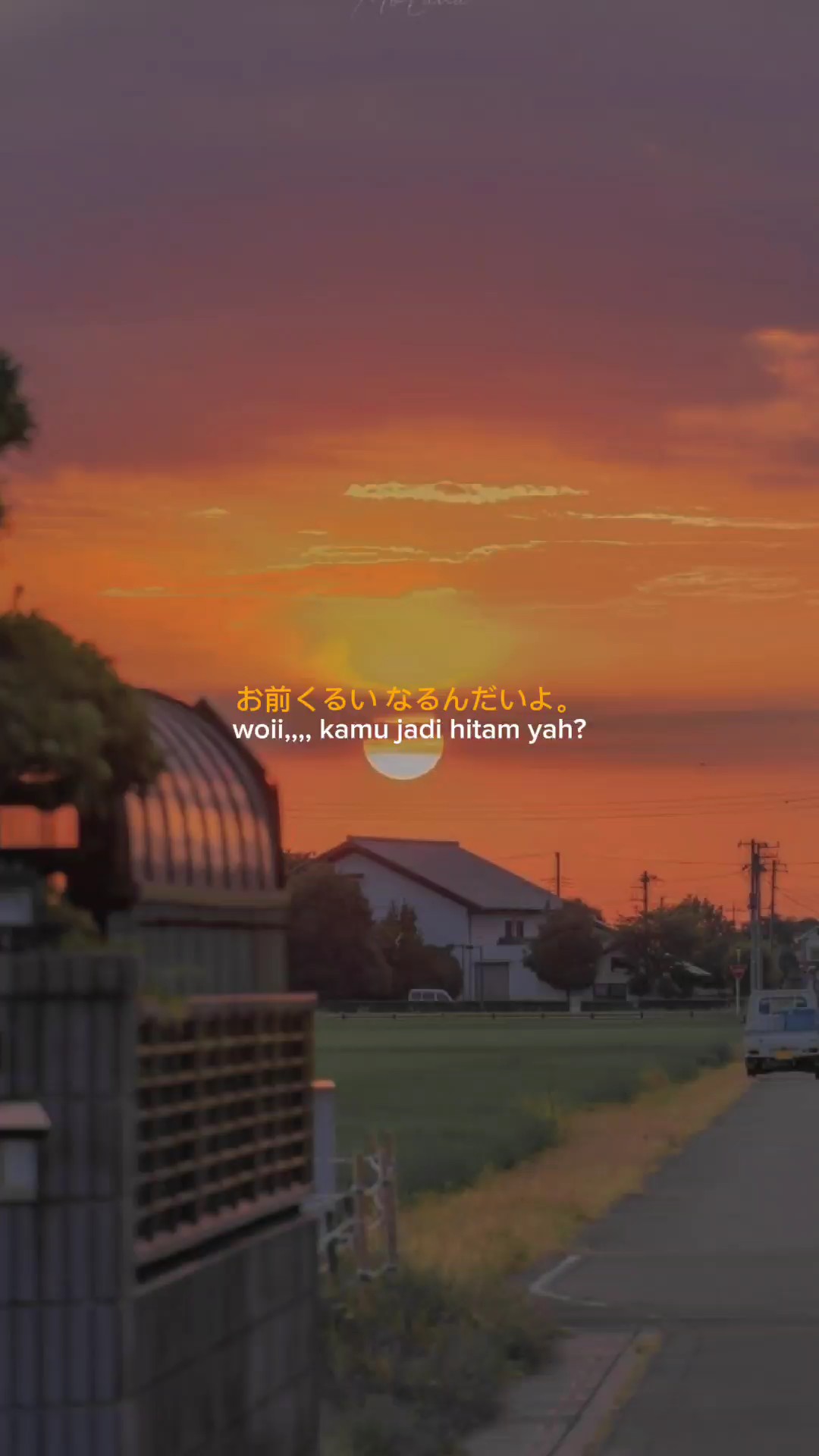 pap pap