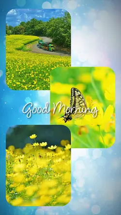 Good Morning