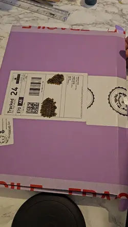 Cake Topper Opening