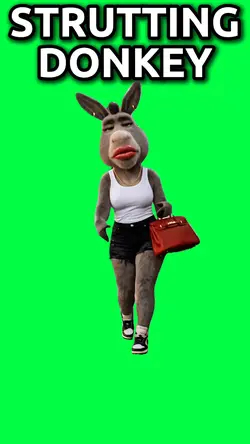 STRUTTING DONKEY