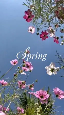 spring
