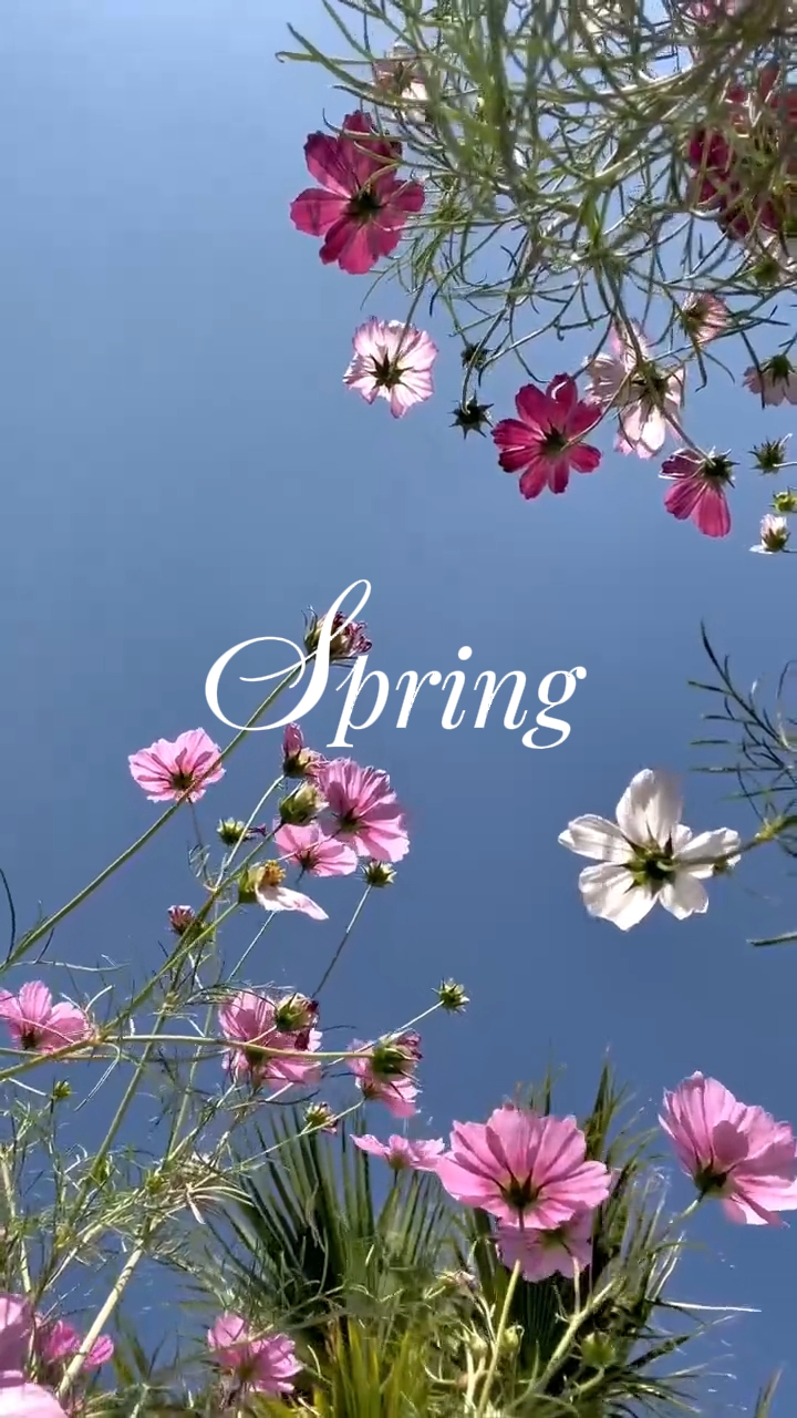 Primavera