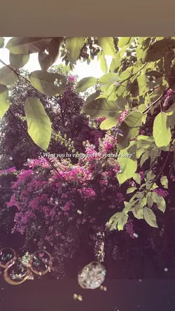 BEAT 2 ẢNH XỊN