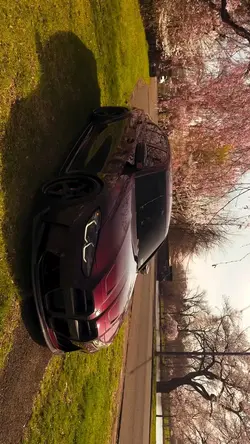 Bmw Edit
