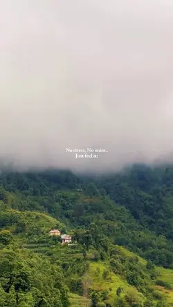Nature no noise