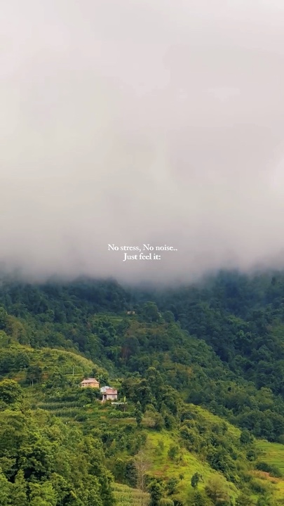 Nature no noise