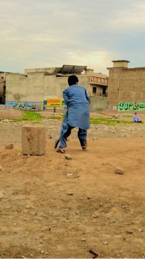 Cover Picture