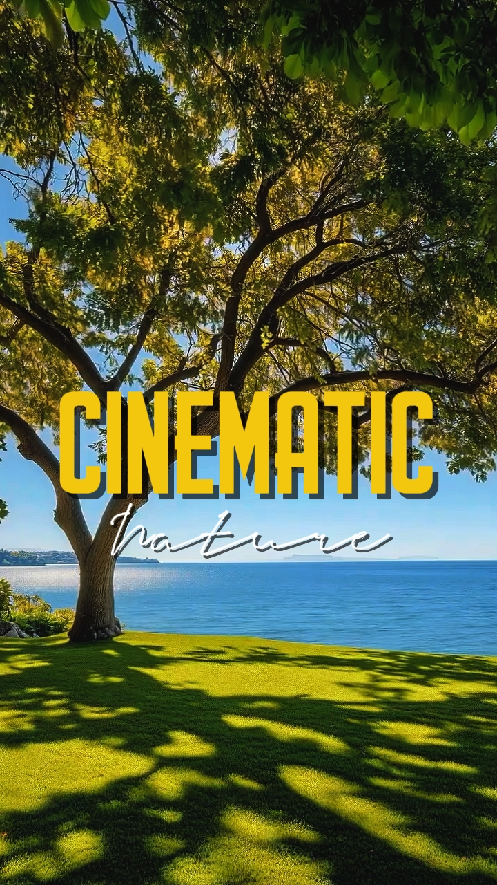 CINEMATIC NATURE 