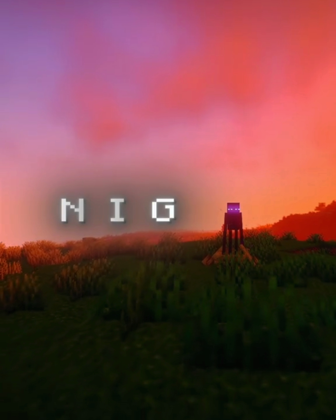 Nig?....