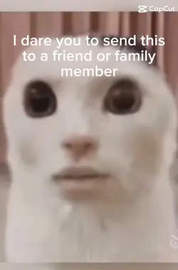 You don’t have to