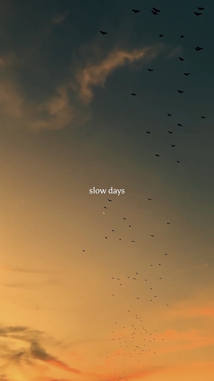 Días Lentos
