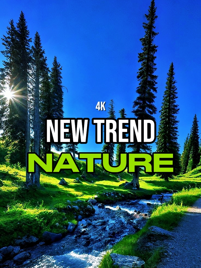 144p vs 4k Trend