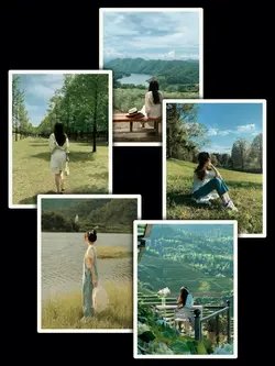 5Pic Clip Aesthetic 