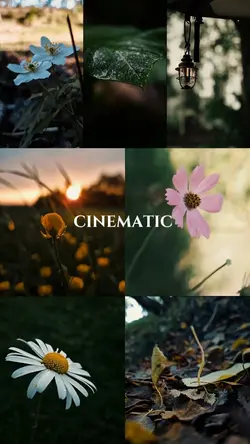cinematic slowmo