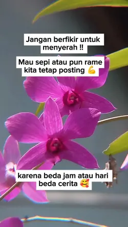 fb pro fyp
