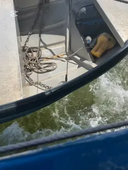 Live camera.