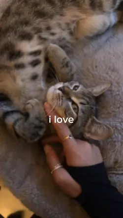I love