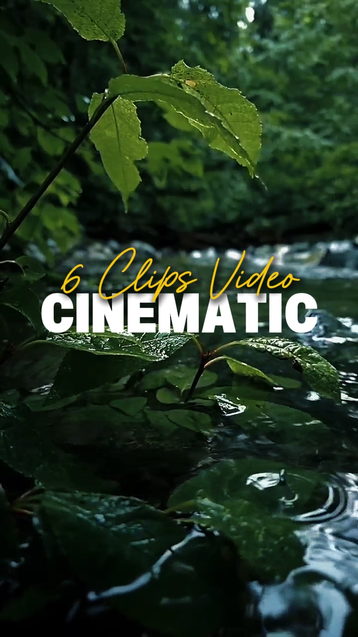 6 Clips Video 