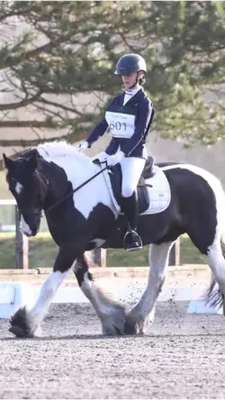 Dressage!